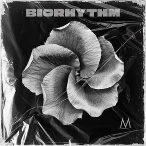 Orika, Desert Lines – Biorhythm