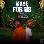 Toolz Umazelaphi, Team Baba – Made For Us