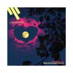 Madbanz – Nocturnal Love