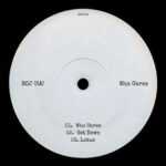 Roj (SA) – Who Cares