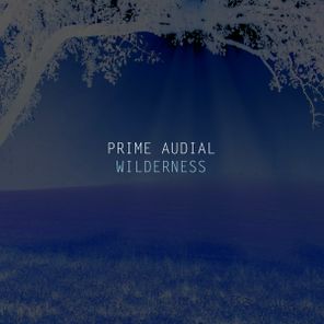 Prime Audial – Wilderness