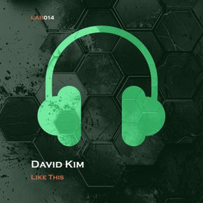 DJ David Kim – Like This