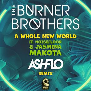 ASHFLO, The Burner Brothers – A Whole New World