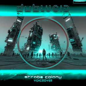 VoiceOver – Strobe Colony