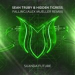 Hidden Tigress, Sean Truby – Falling (Alex Mueller Remix)
