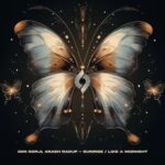 Idin Gorji, Arash Raouf – Sunrise / Like a Midnight