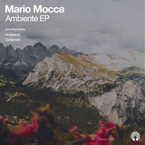 Mario Mocca – Ambiente