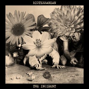 Bioterranean – The Incident