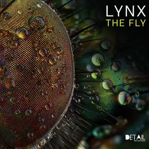 Lynx – The Fly