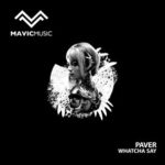 PAVER – Whatcha Say