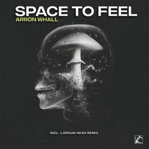 Larsun Hesh, Arron Whall – Space to Feel