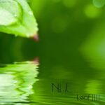Natural Life Essence [ N:L:E ] – Leaf ||||