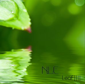 Natural Life Essence [ N:L:E ] – Leaf ||||
