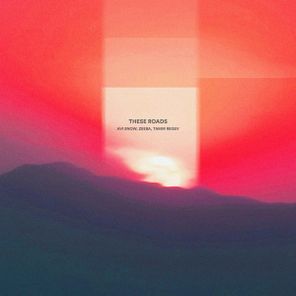 Zeeba, Tamir Regev – These Roads