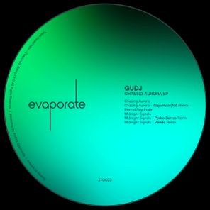 Venda, Pedro Barros – Chasing Aurora