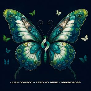 Juan Domecq – Lead My Mind / Moondross
