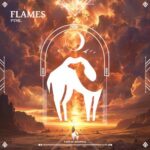 Cafe De Anatolia, pynk. – Flames