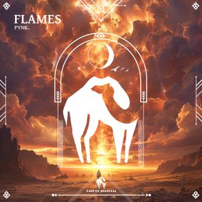 Cafe De Anatolia, pynk. – Flames