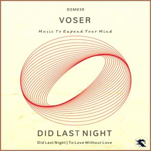 Voser – Did Last Night