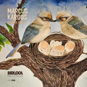 Marcus Kardos – Blessful Lights