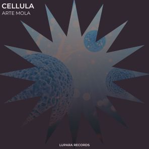 Arte Mola – Cellula