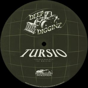 Tursio – DD005