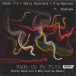 Miq Puentes, Chris Rockford – Made up My Mind (Rockford & Puentes Remix)