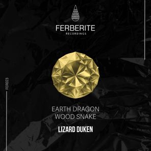 Lizard Duken - Earth Dragon / Wood Snake 1 Lizard Duken – Earth Dragon / Wood Snake