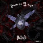 Lucem Demostrat Umbra (L.D.U.), AARTS – BSSHT058