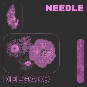 Delgado – Needle