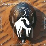 Cafe De Anatolia, AndYou (CR) – Consistency