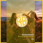 ShadowHawkX – Dance the Pain Away
