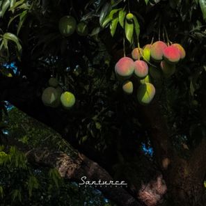 Orteez – Como Asi