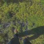 Jadon Woods – DBNO