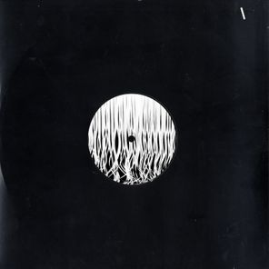 FabioEsse – Shredder