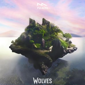 Pulserz, Delemontez Nicolas – Wolves