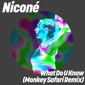 Niconé, Monkey Safari – What Do U Know (Monkey Safari Remix)