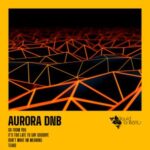 Aurora Dnb – Tears