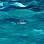 DP-6 – Sentient