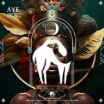 Cafe De Anatolia, CodeWhite – Aye