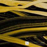 Root – Uncharted Territories