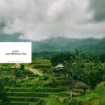 aiden – Lost Without You