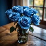 toy5bro – Wonderful