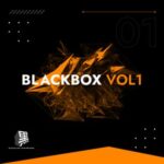 Enrico Chirchiello, RemoveBeforeFlight - Blackbox Vol. 1 3 Enrico Chirchiello, RemoveBeforeFlight – Blackbox Vol. 1