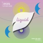 Specifiq – Other Side