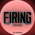 Twook – Firing