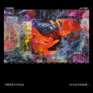 Benjamin Damage, Hammer – CHROMA 000