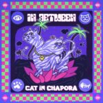 Panta Rhei, In Between – Cat in Chapora