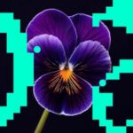 Budakid – Movin’ On / A Conscious Distortion