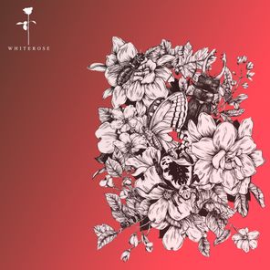 Bilgehan Ünver – Cant Stop